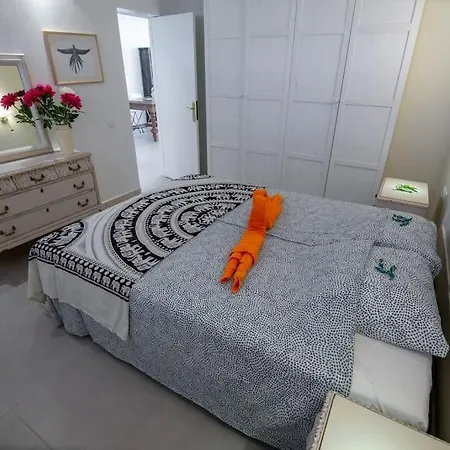 Apartment Chaparal Design